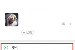 安卓微信怎么开启面容支付